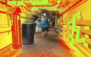 Biology Basement